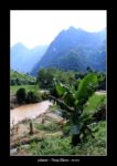 palmier à Nong Khiaw - l'autre ailleurs au Laos, une autre idée du voyage