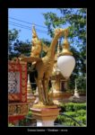 l'oiseau lumière à Vientiane - l'autre ailleurs au Laos, une autre idée du voyage