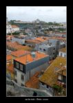 sur les toits à Porto - thierry llopis photographies (www.thierryllopis.fr)