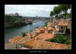 sur les toits - Porto ~ thierry llopis photographies (www.thierryllopis.fr)