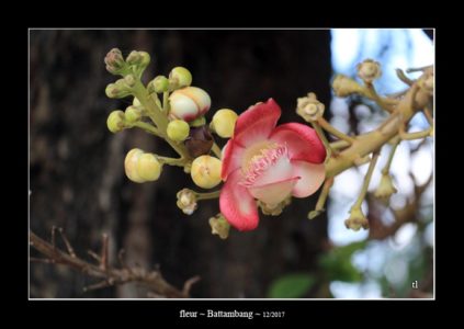 - quelques photos du Cambodge ~ thierry llopis photographies (www.thierryllopis.fr)