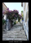 en montant des marches à Dubrovnik - quelques photos de Croatie - septembre 2020 ~ thierry llopis photographies (www.thierryllopis.fr)