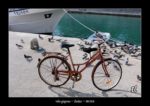 le vélo pigeon à Zadar - quelques photos de Croatie - septembre 2020 ~ thierry llopis photographies (www.thierryllopis.fr)