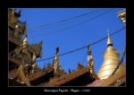 pagode Shwezigon à Bagan au Myanmar (Birmanie) - thierry llopis photographies (www.thierryllopis.fr)