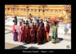 un groupe de jeunes bonzes - pagode Shwezigon à Bagan au Myanmar (Birmanie) - thierry llopis photographies (www.thierryllopis.fr)
