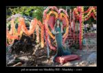 de la pub en montant à Mandalay Hill à Mandalay au Myanmar (Birmanie) - thierry llopis photographies (www.thierryllopis.fr)