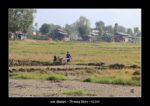 paysan aux champs avec son motoculteur à Nyaung Shwe au Myanmar (Birmanie) - thierry llopis photographies (www.thierryllopis.fr)