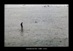 un pêcheur à la ligne qui se prend pour Jésus en marchant sur l'eau...ou presque, à Galle - thierry llopis photographies (www.thierryllopis.fr)