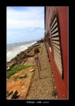 depuis le train entre Galle et Colombo - thierry llopis photographies (www.thierryllopis.fr)