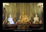 temple de la dent de bouddha à Kandy - thierry llopis photographies (www.thierryllopis.fr)