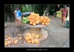 sur la route, des noix de coco. A Kandy - thierry llopis photographies (www.thierryllopis.fr)