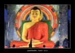 Un grand bouddha à Kandy - thierry llopis photographies (www.thierryllopis.fr)