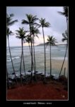 Coconut Beach à Mirissa - thierry llopis photographies (www.thierryllopis.fr)