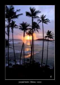 Coconut Beach à Mirissa - thierry llopis photographies (www.thierryllopis.fr)