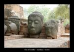 têtes de bouddha à Ayutthaya - quelques photos de Thaïlande ~ thierry llopis photographies (www.thierryllopis.fr)