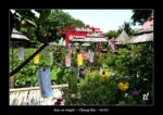 dans un temple à Chiang Mai - quelques photos de Thaïlande ~ thierry llopis photographies (www.thierryllopis.fr)