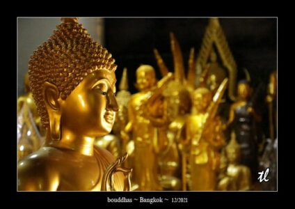 de jolis bouddhas dans un magasin de bouddhas à Bangkok - quelques photos de Thaïlande ~ thierry llopis photographies (www.thierryllopis.fr)