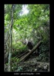 escalier dans la jungle près de Chaing Mai - quelques photos de Thaïlande ~ thierry llopis photographies (www.thierryllopis.fr)