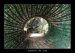 un tunnel vert à Pai - quelques photos de Thaïlande ~ thierry llopis photographies (www.thierryllopis.fr)