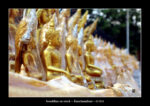 des bouddhas à Kanchanaburi.