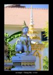 au temple à Chiang Mai - quelques photos de Thaïlande entre décembre 2019 et janvier 2020 ~ thierry llopis photographies (www.thierryllopis.fr)