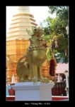 dans un temple à Chiang Mai - quelques photos de Thaïlande entre décembre 2019 et janvier 2020 ~ thierry llopis photographies (www.thierryllopis.fr)