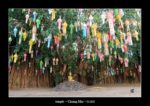 dans un temple (Chiang Mai - janvier 2020) - quelques photos de Thaïlande entre décembre 2019 et janvier 2020 ~ thierry llopis photographies (www.thierryllopis.fr)