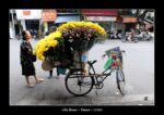une fleuriste à vélo à Hanoï.